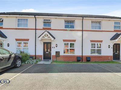 Picture 19